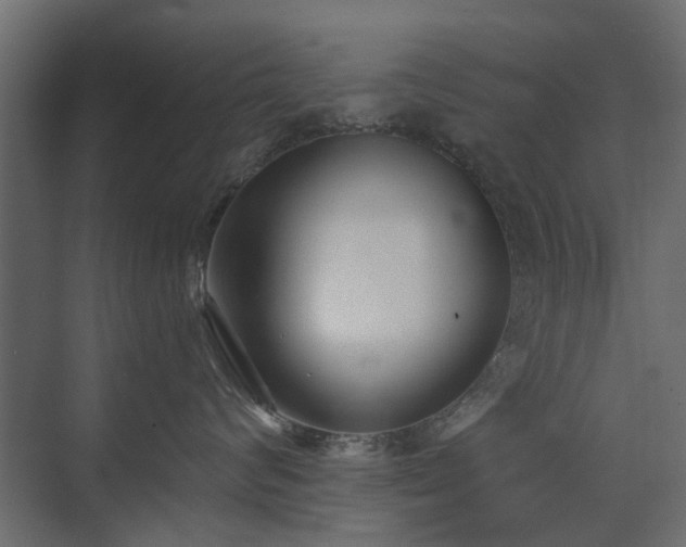 X0000073490624200607311228