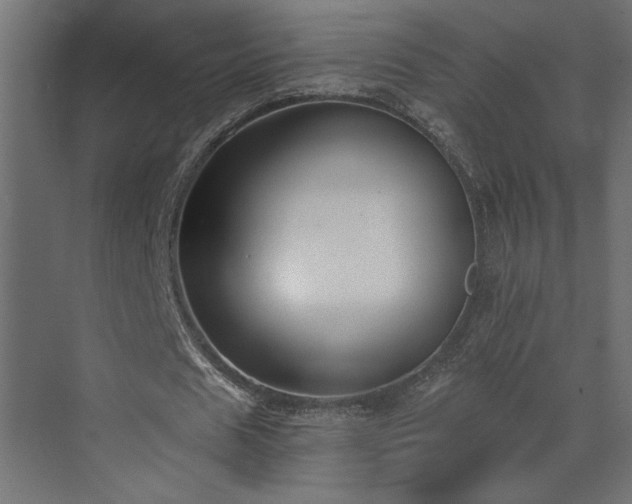 X0000073490625200607311227