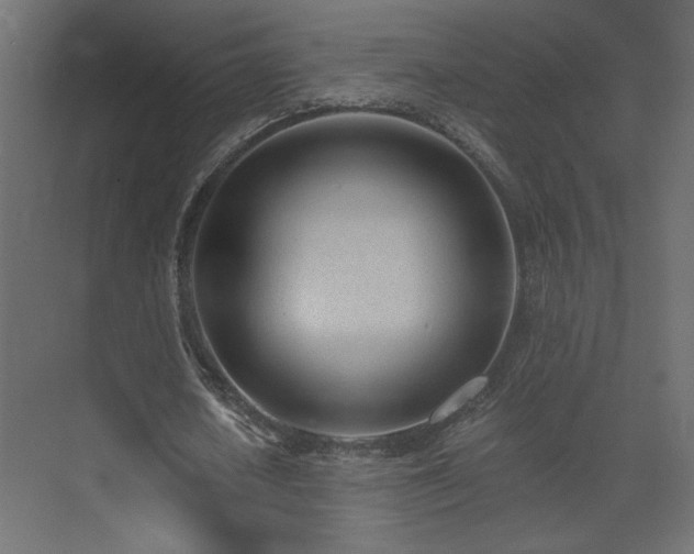 X0000073490626200607311227