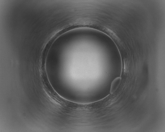 X0000073490627200607311227
