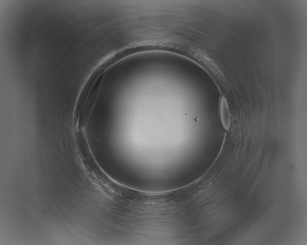 X0000073490628200607311227