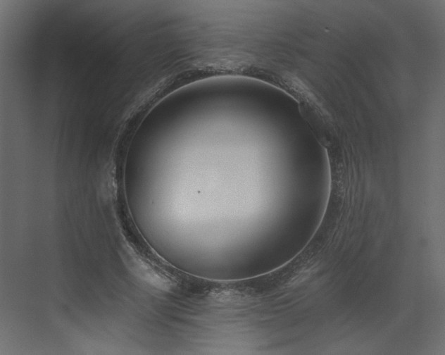X0000073490634200607311227