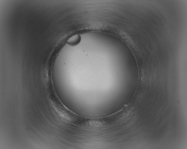 X0000073490636200607311227