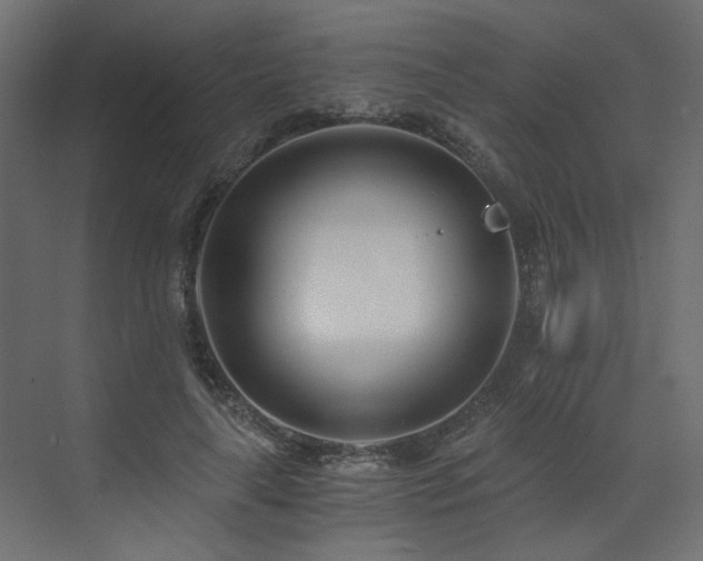 X0000073490643200607311227