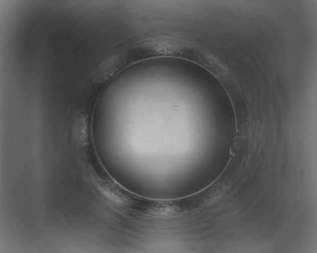 X0000073490646200607311227