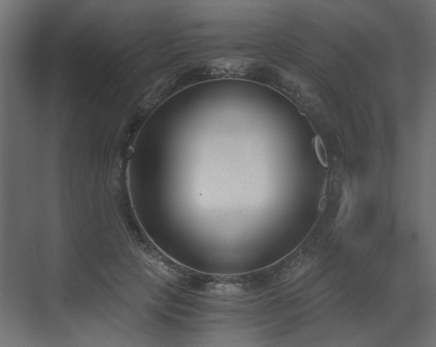 X0000073490649200607311228