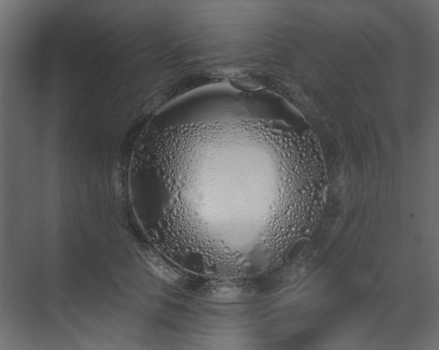X0000073490658200607311228