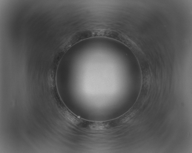 X0000073490661200607311228
