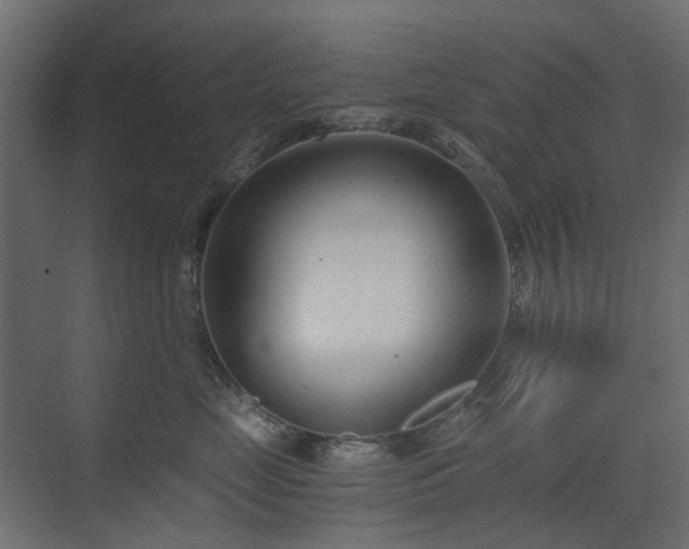 X0000073490669200607311228