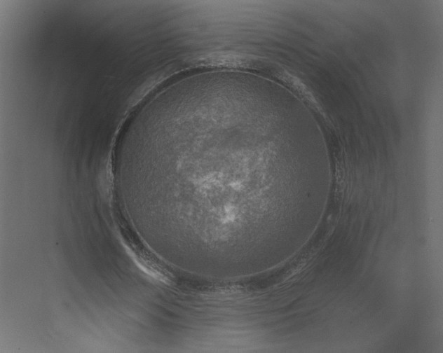 X0000073490674200607311227