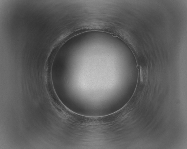 X0000073490675200607311227