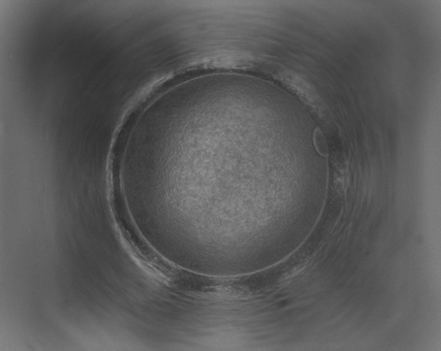 X0000073490678200607311227