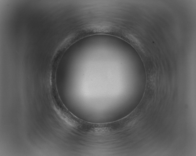 X0000073490686200607311227