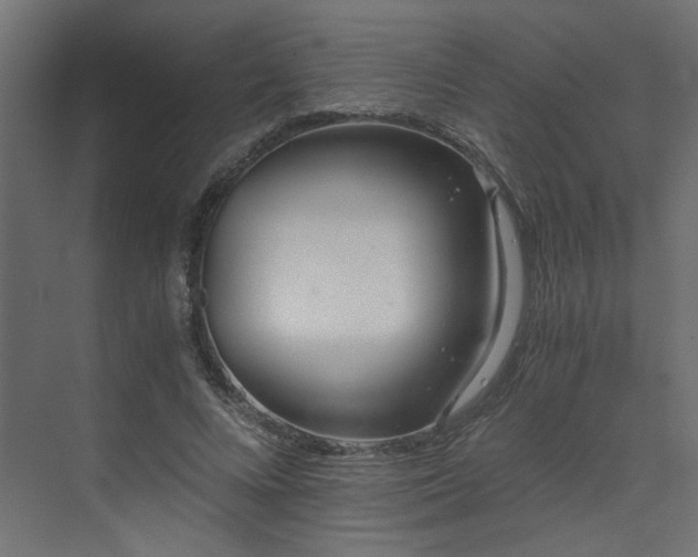 X0000073490688200607311227
