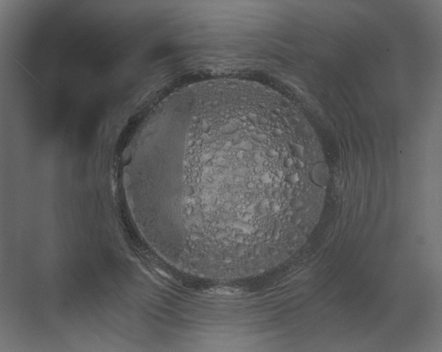 X0000073490691200607311227