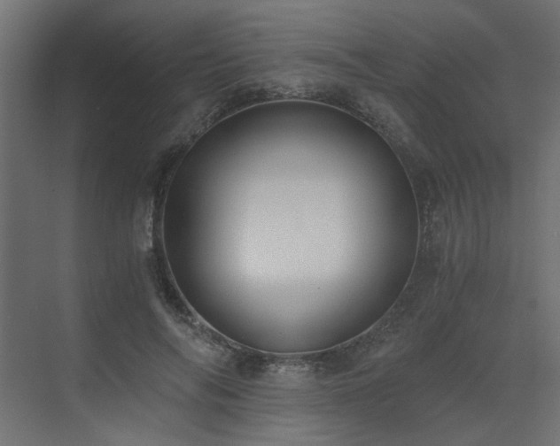 X0000073490694200607311227