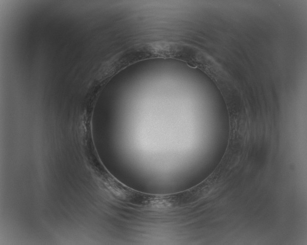 X0000073490702200607311227