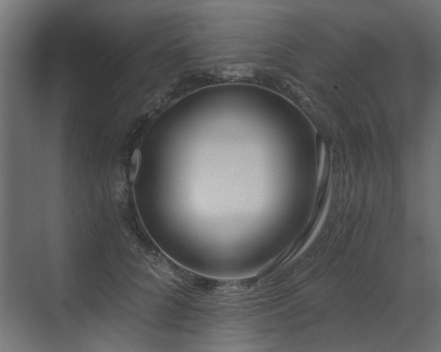 X0000073490704200607311227