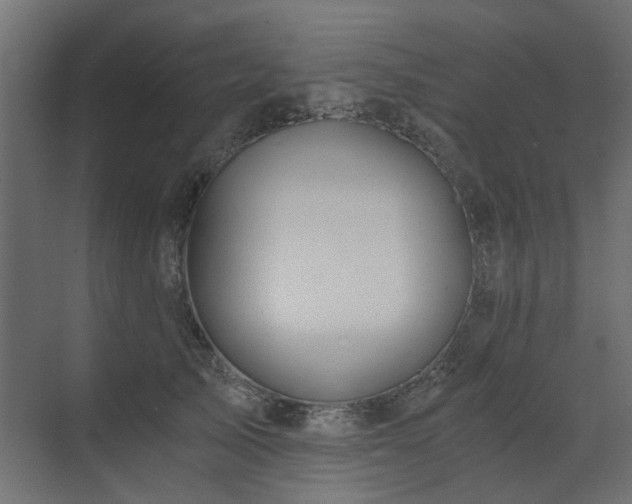 X0000073490705200607311227