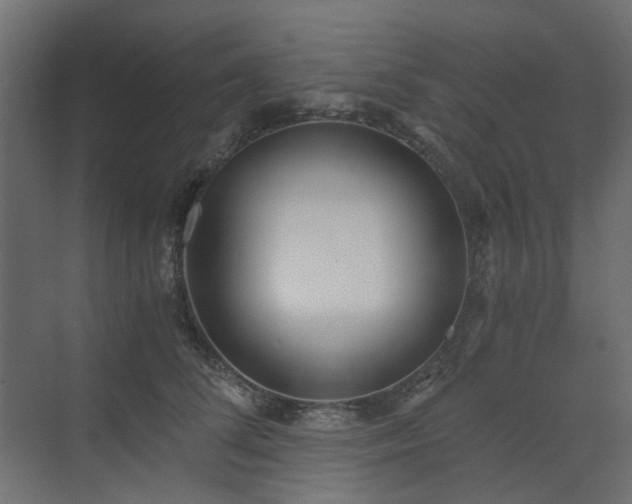 X0000073490708200607311226