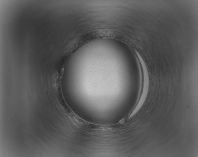 X0000073490712200607311226