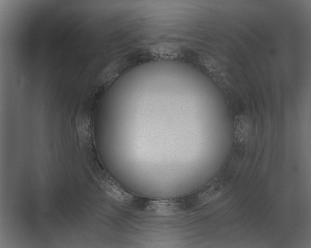 X0000073490713200607311226