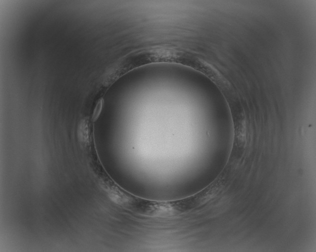 X0000073490715200607311226
