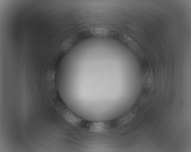 X0000073490717200607311226