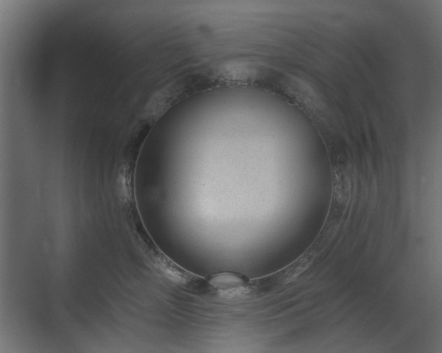 X0000073490718200607311226