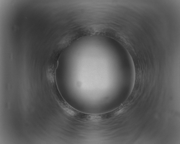 X0000073490719200607311226