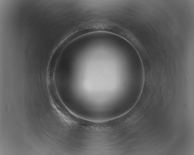 X0000073490722200607311226