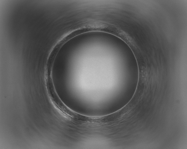 X0000073490726200607311226
