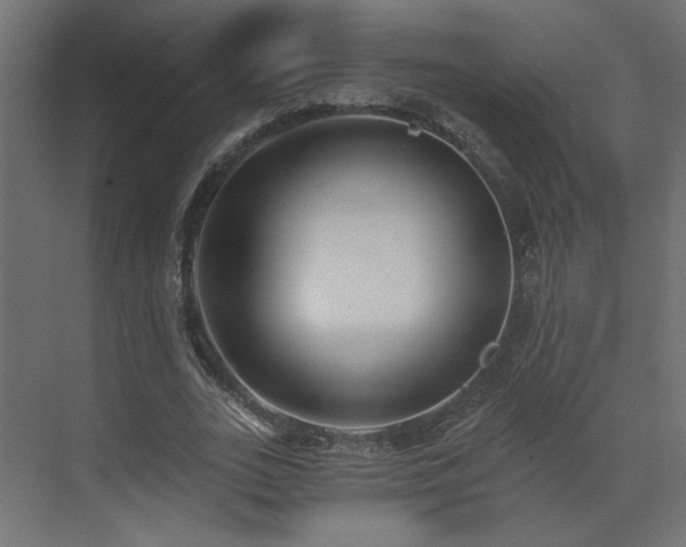 X0000073490727200607311226