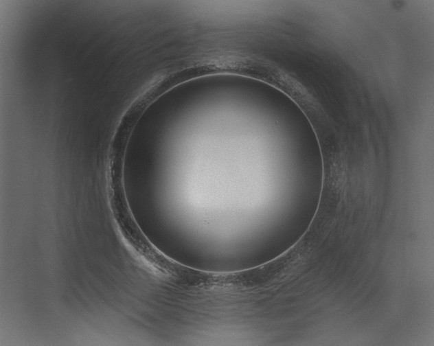 X0000073490730200607311226
