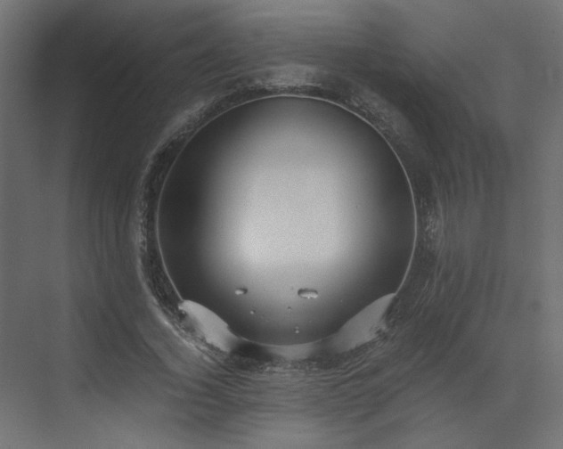 X0000073490732200607311226