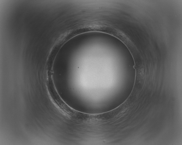 X0000073490734200607311226