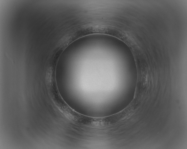 X0000073490744200607311226