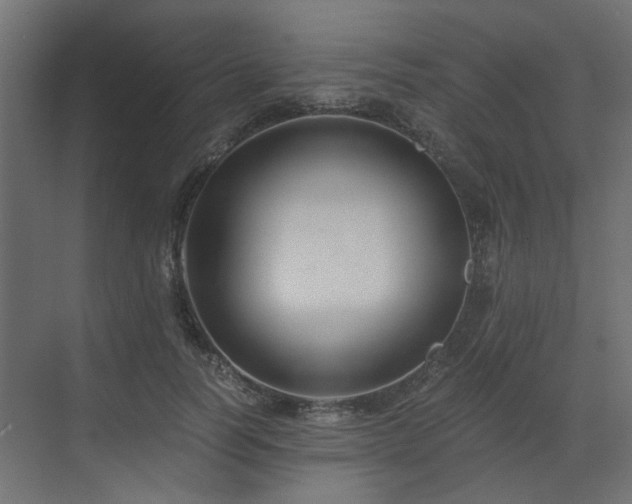 X0000073490746200607311226