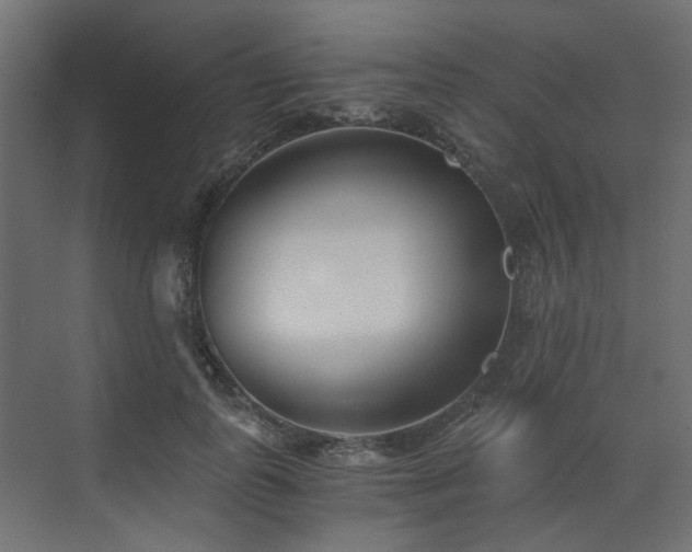X0000073490747200607311226