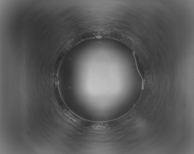 X0000073490756200607311226
