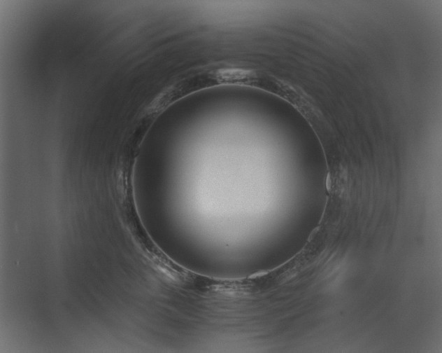 X0000073490763200607311226
