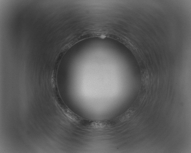 X0000073490764200607311226