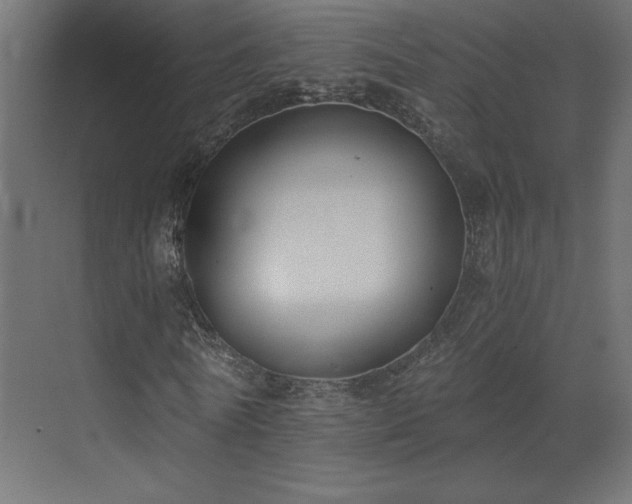 X0000073490770200607311225