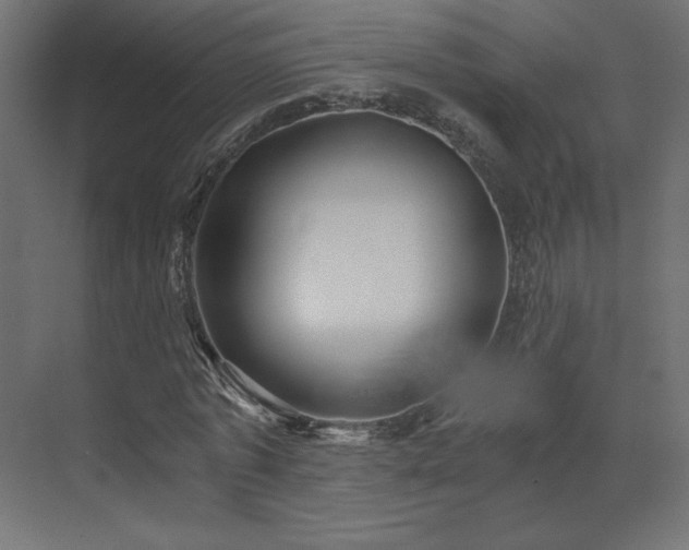 X0000073490773200607311225