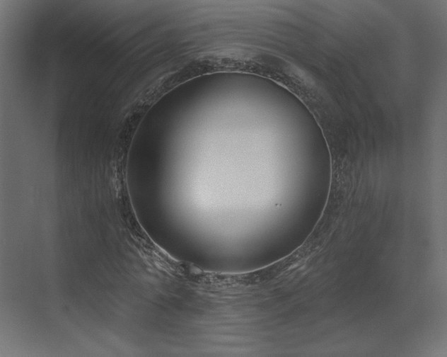 X0000073490774200607311225