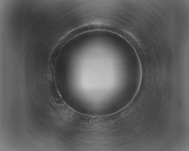 X0000073490776200607311225