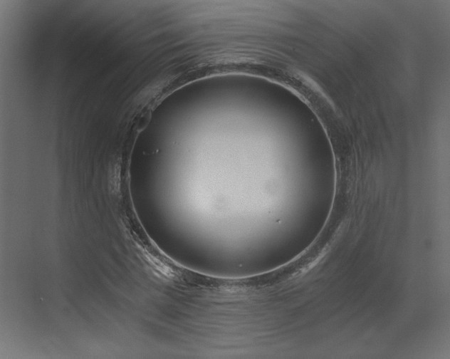 X0000073490777200607311225