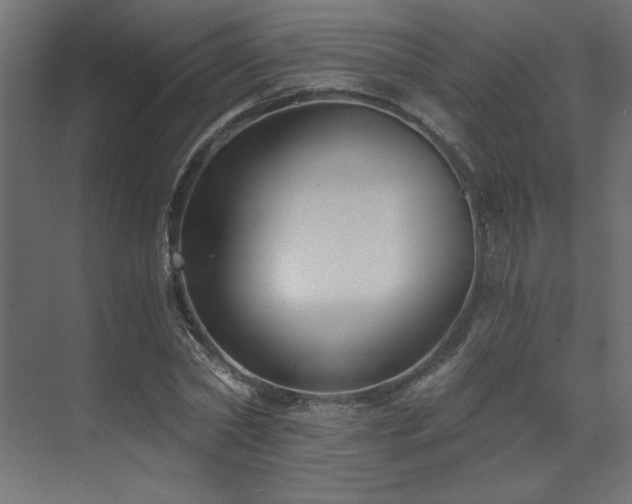 X0000073490782200607311225