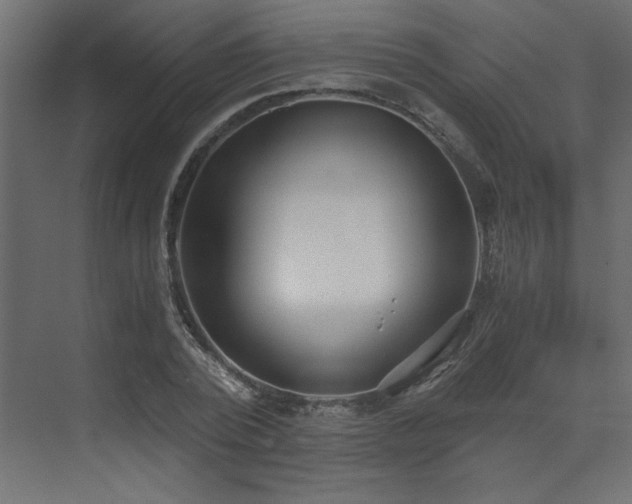 X0000073490784200607311225