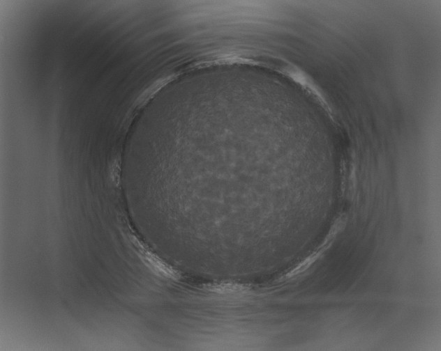 X0000073490785200607311225